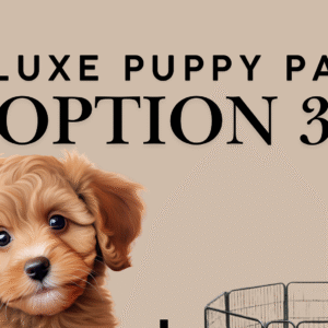 76b72d c4acc3b54bf84f3fbd4668a49c5d4faamv2