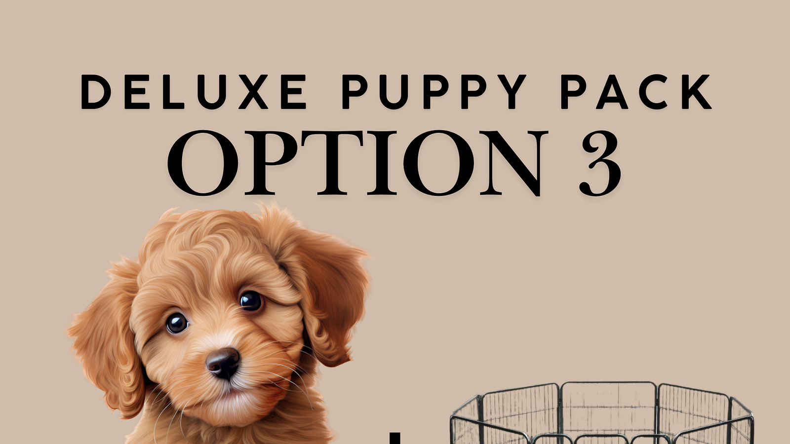 76b72d c4acc3b54bf84f3fbd4668a49c5d4faamv2